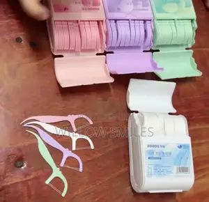 Dental Floss Picks (Mint Infused)