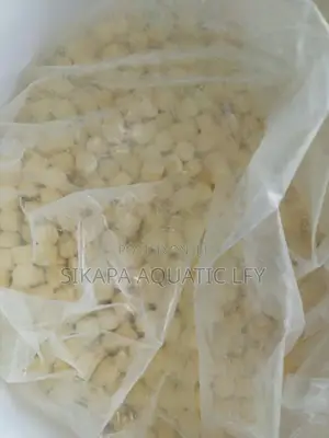Oxygen Tablet
