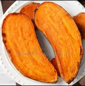 Orange Fleshed Sweet Potato (Beauregard)