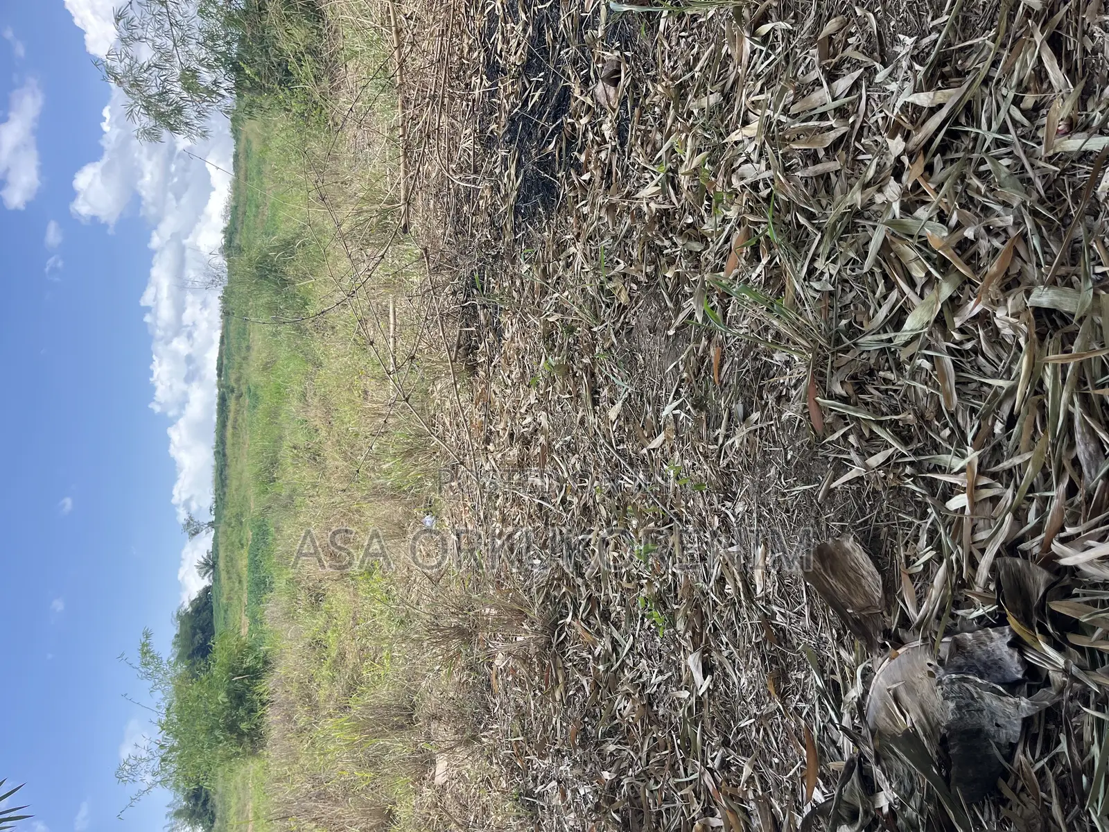 Lands and House for Sale