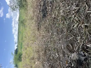 Lands and House for Sale