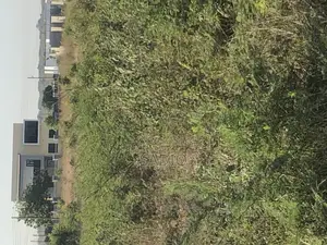 35x100 Plots of Land at Prampram
