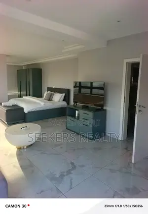 Furnished 2bdrm Apartment in Seekers Realty, Oxford Street for rent