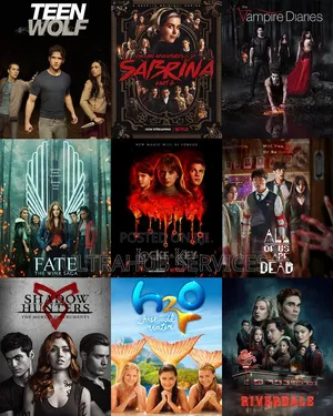 Netflix Premium Subscription