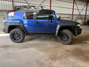 Toyota FJ Cruiser 2009 Blue