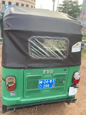 TVS King Deluxe Plus iTouch Start 2024 Green