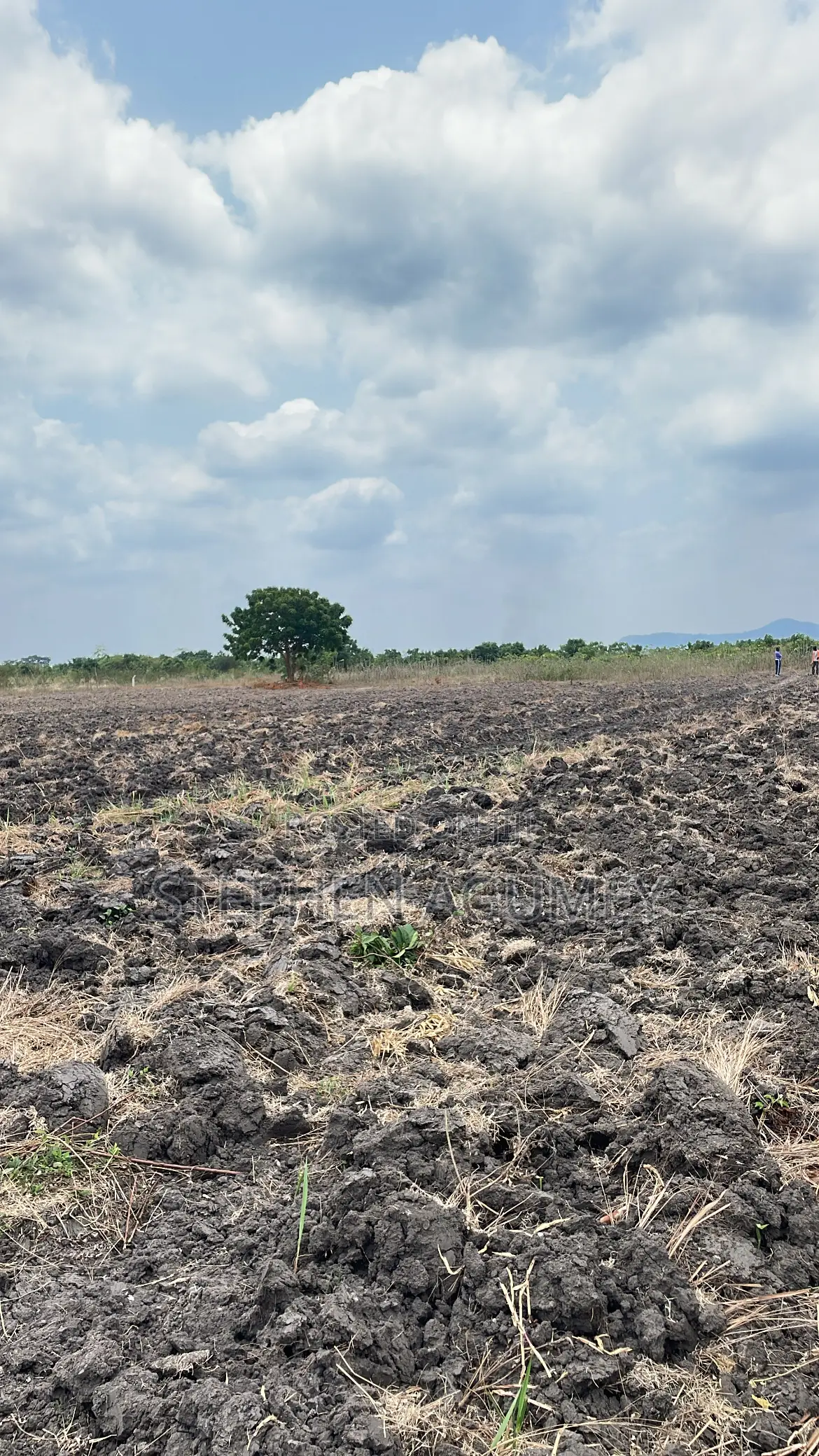 Prime Land for Sale