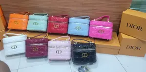 Dior Caro Mini Vanity Case Bag