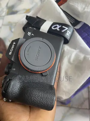 Sony at 7 Mark V