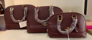 Coach Authentic Sierra Women’S Handbag (3 Set)