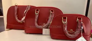 Coach Authentic Sierra Women’S Handbag (3 Set)
