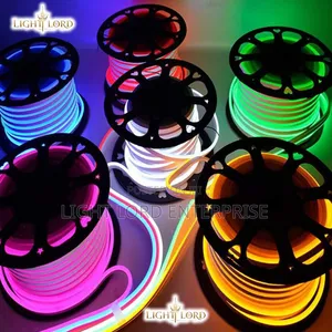 All Color Verities of Neon Rope Light 100meters