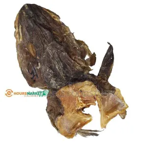 Stockfish Head
