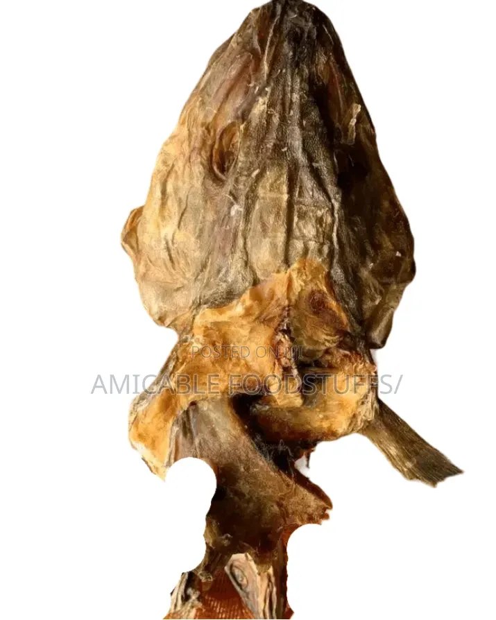 Stockfish Head