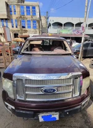 2009-2014 Ford F150 Windscreen Available