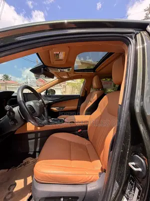 Lexus NX 2024 Green