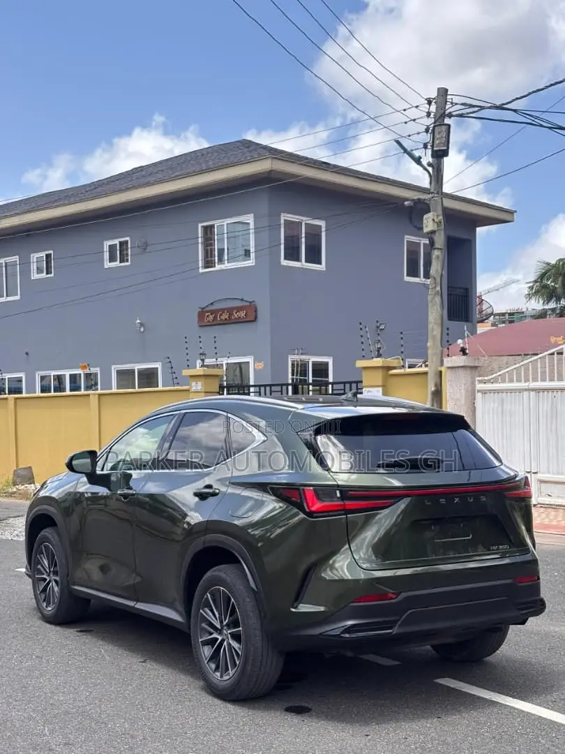 Lexus NX 2024 Green