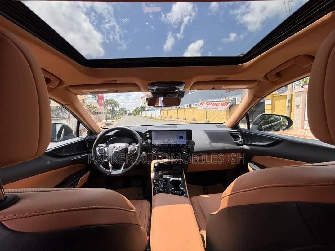 Lexus NX 2024 Green