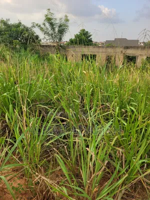Half Plot for Sale at Santa'si Darko Near Main Road