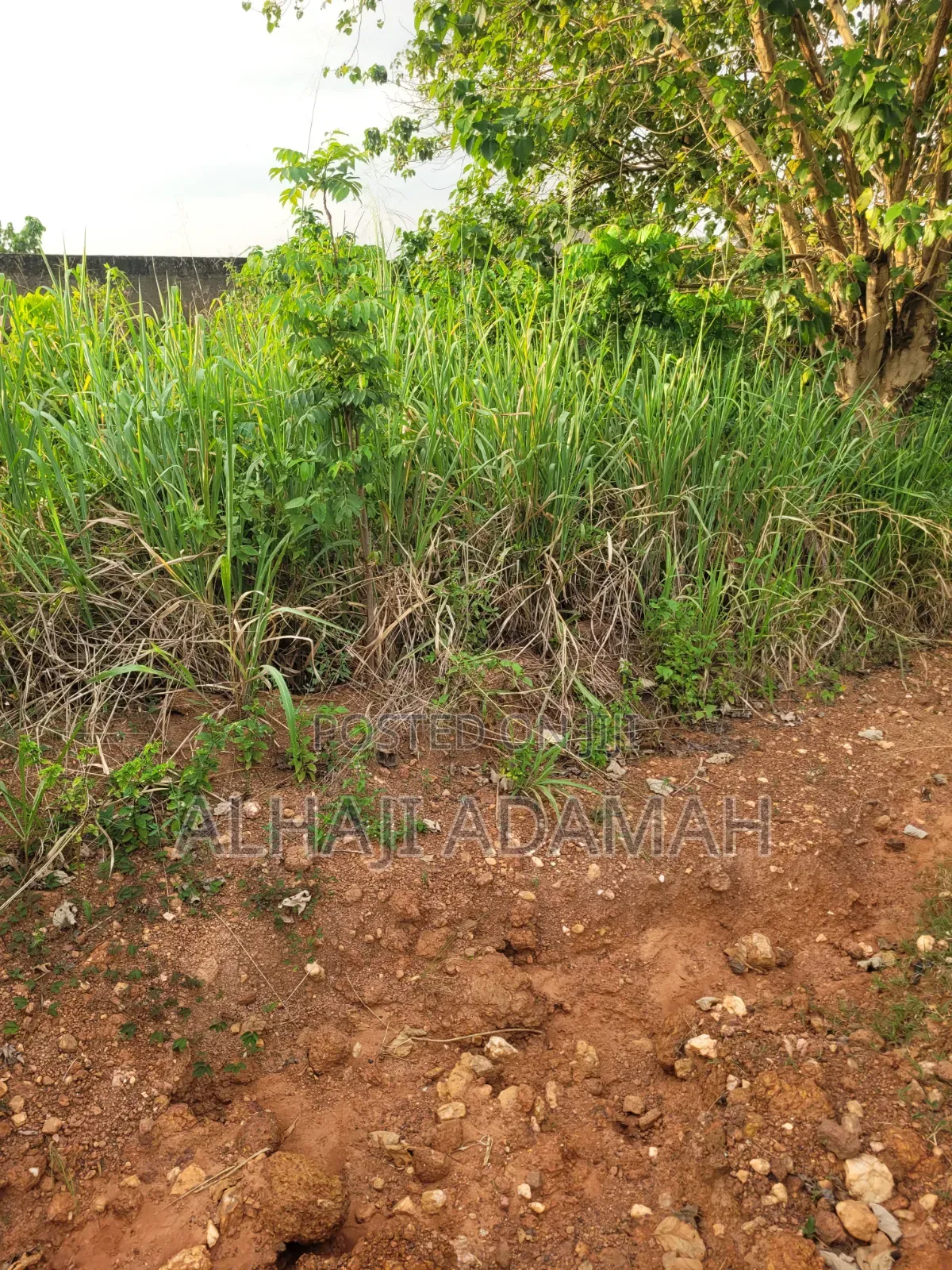 Half Plot for Sale at Santa'si Darko Near Main Road