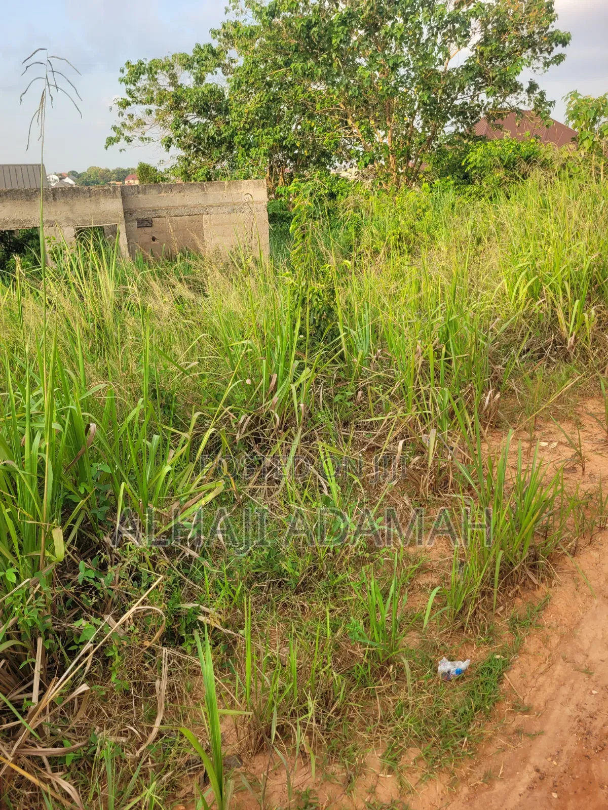 Half Plot for Sale at Santa'si Darko Near Main Road