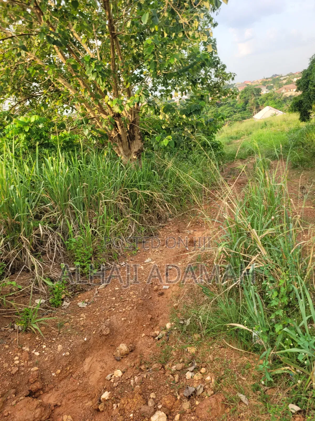 Half Plot for Sale at Santa'si Darko Near Main Road