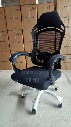 Ergonomic Office Chair