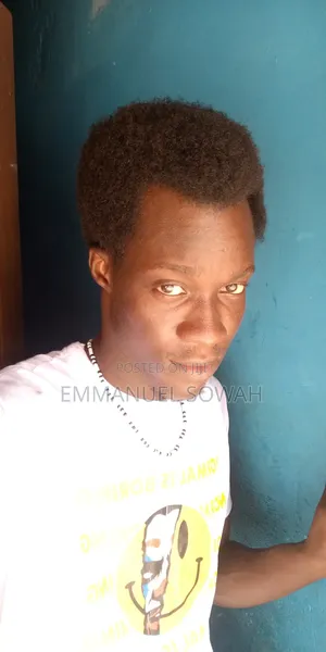 Emmanuel Sowah Cv