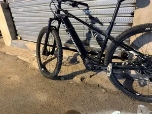 Mondraker E Mountain Bike
