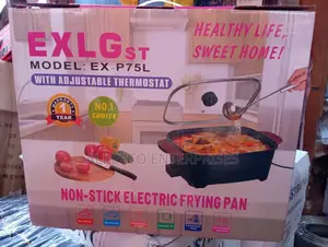 Electric Cooking Pot