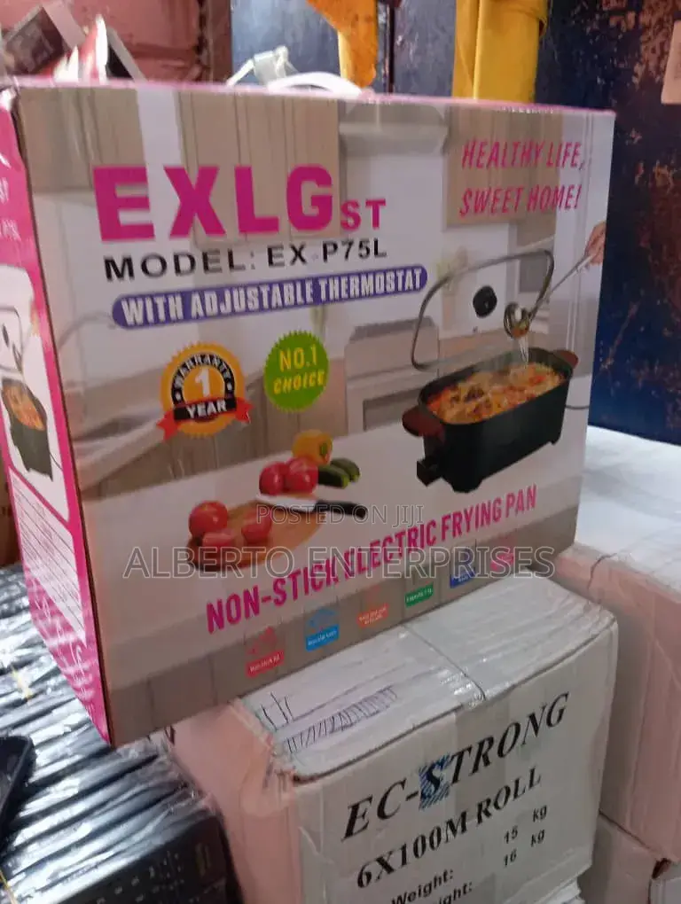 Electric Cooking Pot
