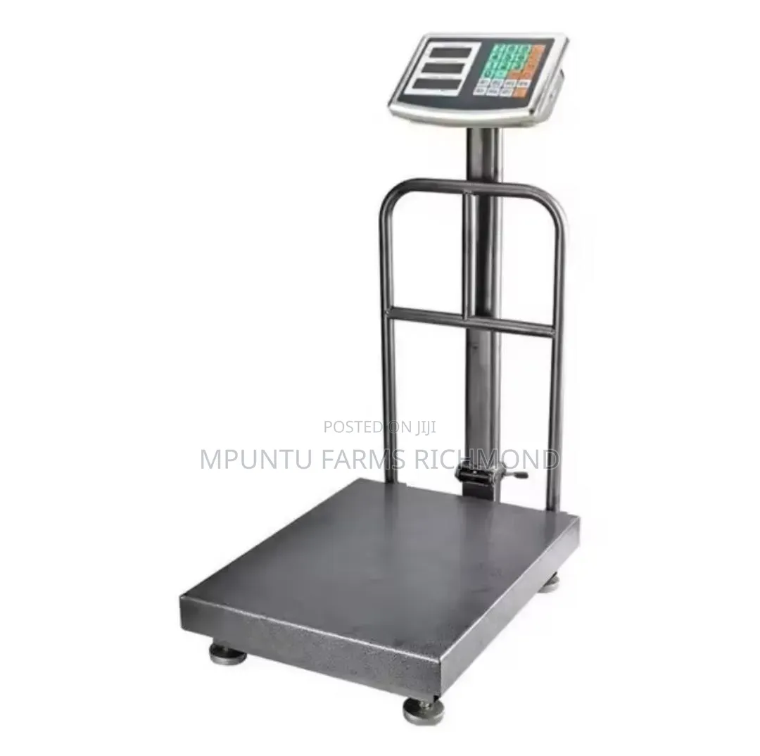 Scale (Electronic Platform Scale)