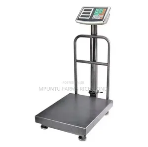 Scale (Electronic Platform Scale)