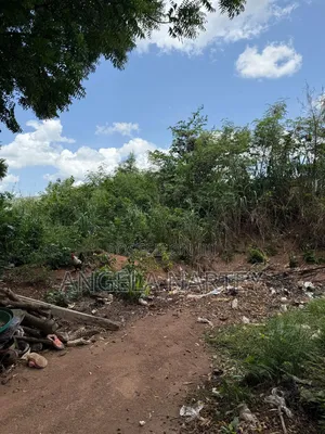100 Plots for Sale in Oyarifa