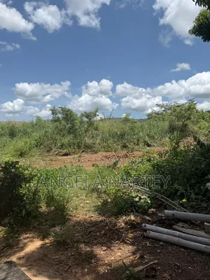 100 Plots for Sale in Oyarifa