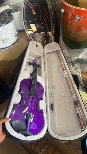 Professional Violin