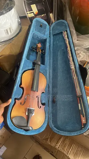 Professional Violin