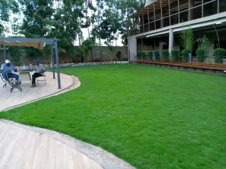 Lawn Maintenance