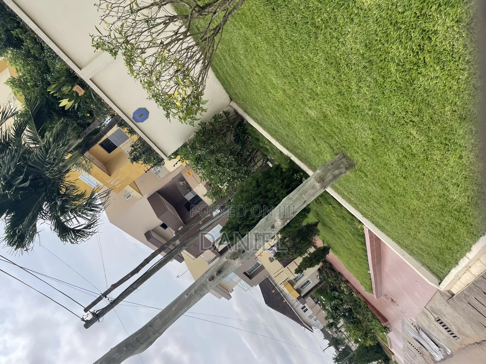 Lawn Maintenance
