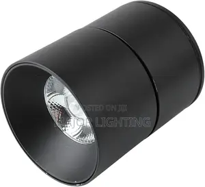 Ceiling Light