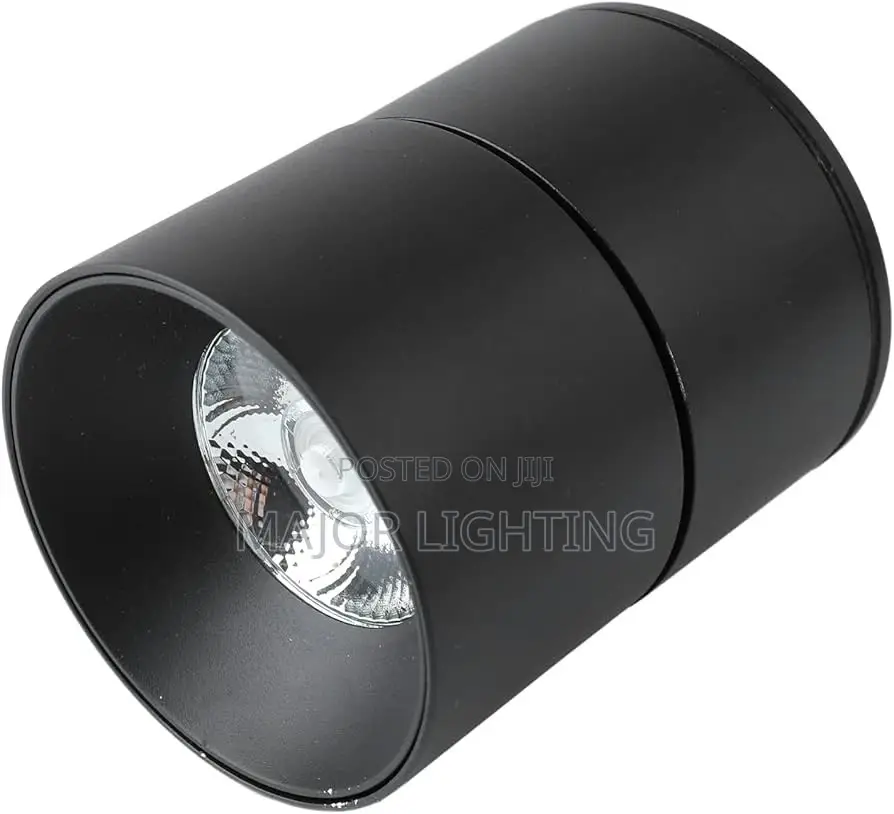Ceiling Light
