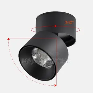 Ceiling Light