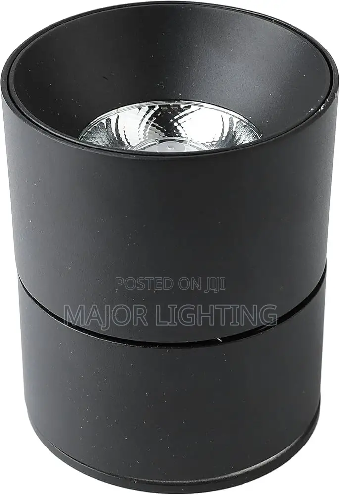 Ceiling Light