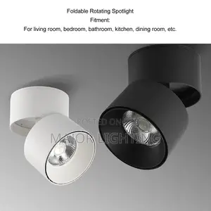 Ceiling Light