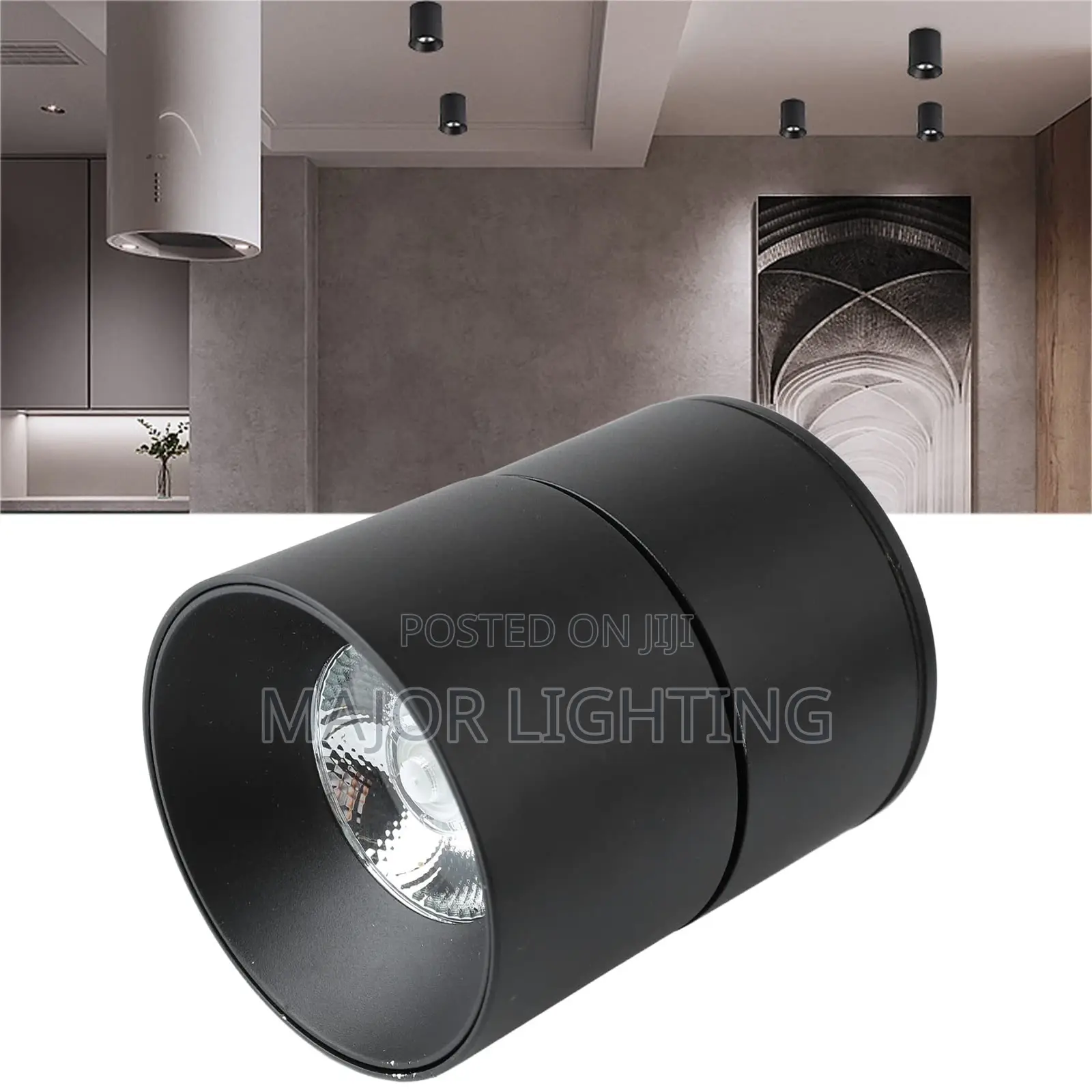 Ceiling Light