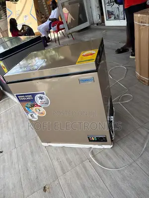 Nasco 150l Deep Freezer With Fast Cooling Technology