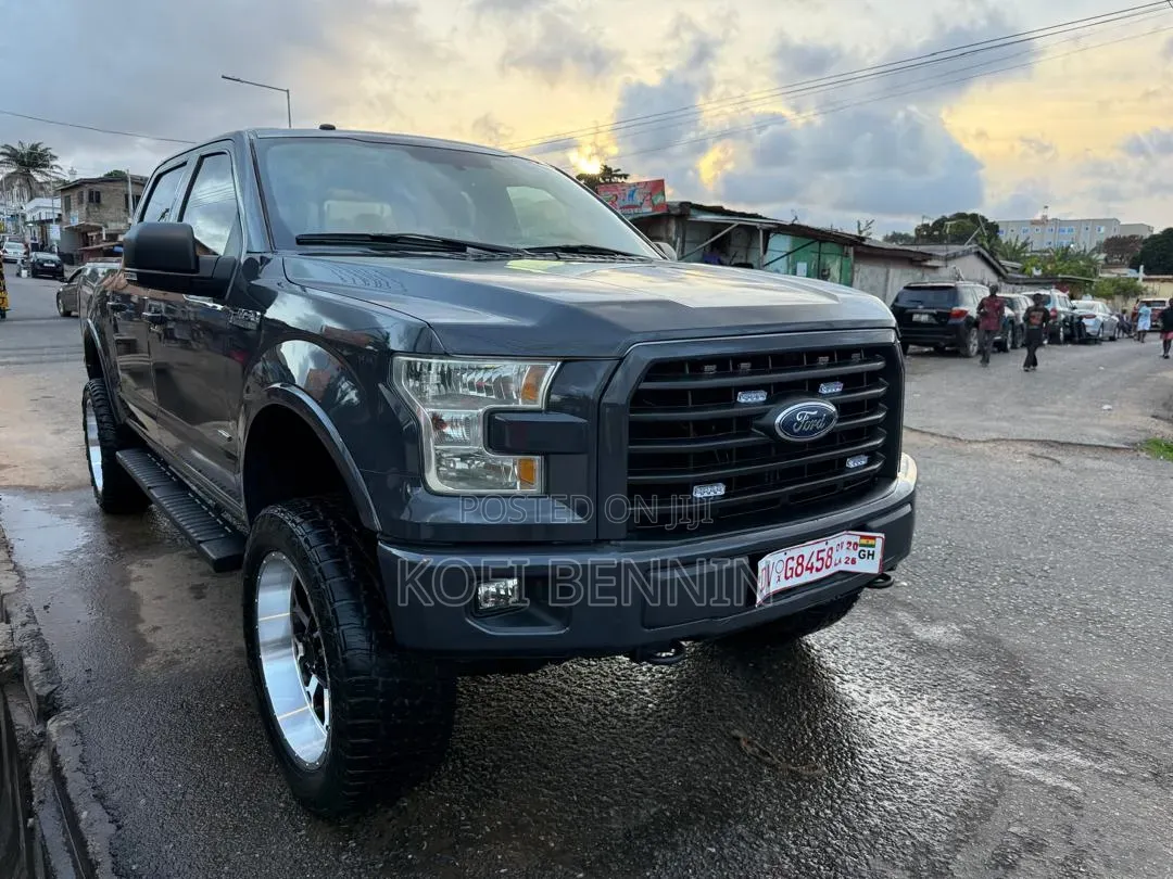Ford F-150 2017 Gray