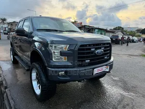 Ford F-150 2017 Gray