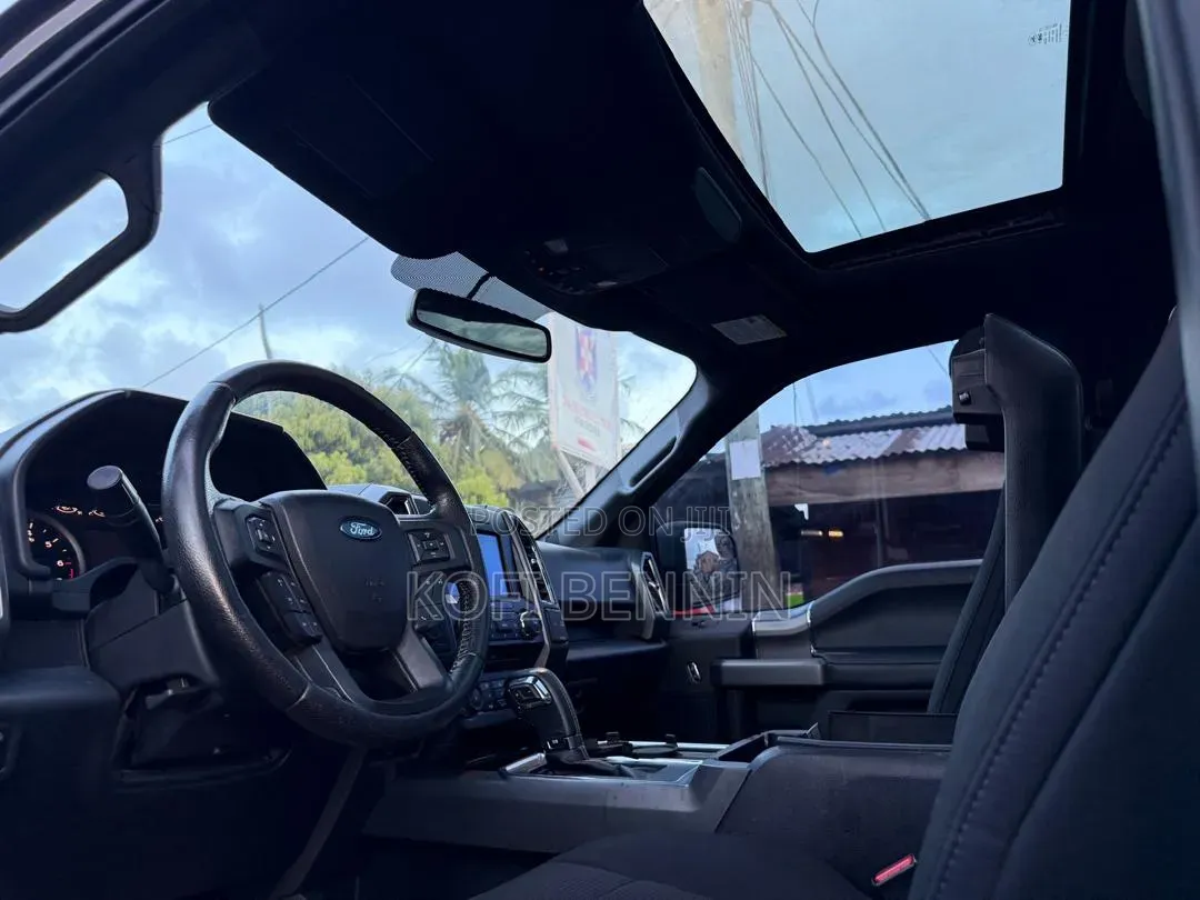 Ford F-150 2017 Gray