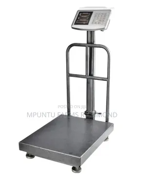 Scale (Electronic Platform Scale)